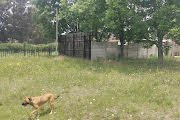 3 Bedroom Property for Sale in Edenville Free State